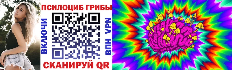 Галлюциногенные грибы Psilocybine cubensis  сколько стоит  Пучеж 