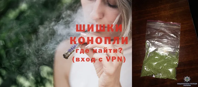 Канабис OG Kush  Пучеж 